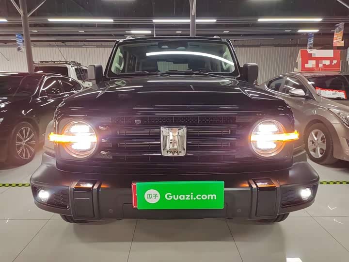 Фото 3 - Tank 300