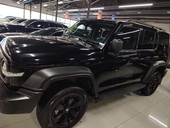 Фото 5 - Tank 300