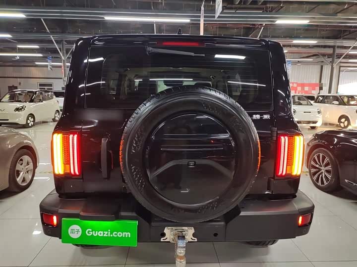 Фото 6 - Tank 300