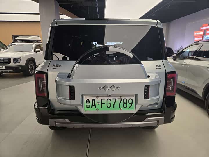 Фото 9 - BYD FangChengBao Leopard 8