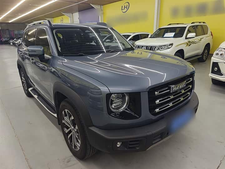 Фото 4 - Haval Dargo