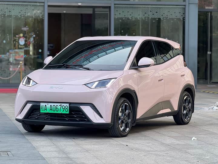 Фото 1 - BYD Seagull