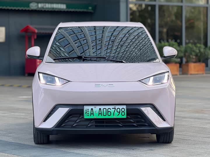 Фото 2 - BYD Seagull