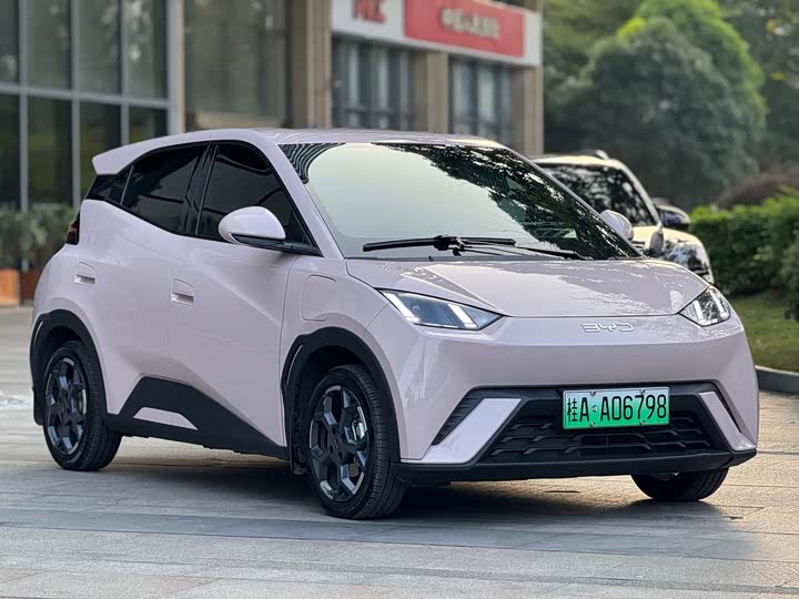 Фото 3 - BYD Seagull