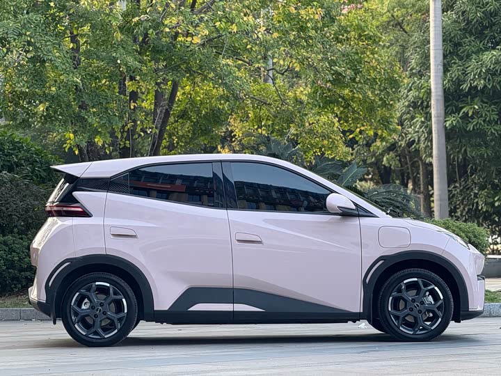 Фото 4 - BYD Seagull