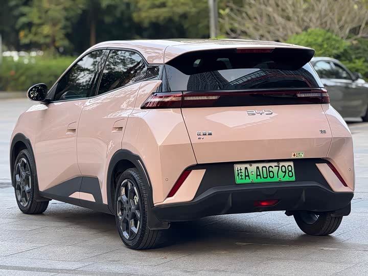 Фото 5 - BYD Seagull