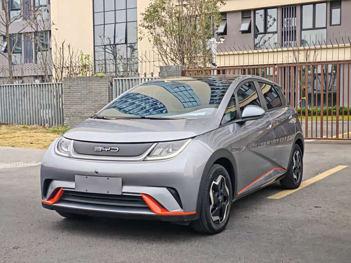 Фото 1 - BYD Dolphin