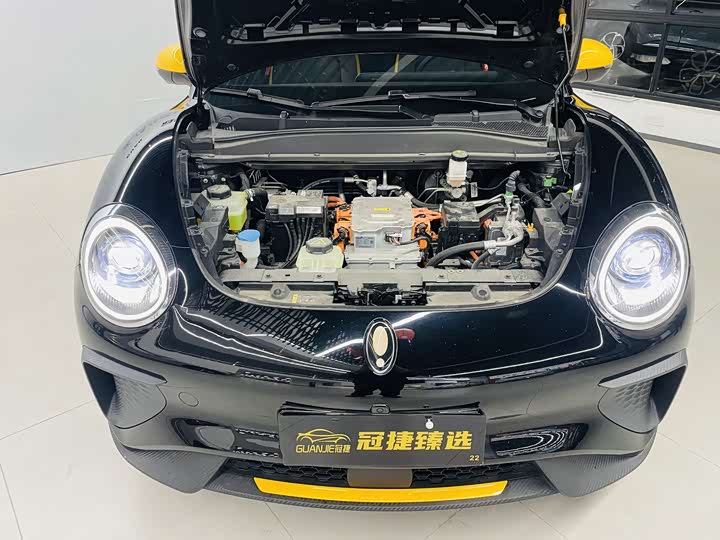 Фото 2 - Ora Good Cat GT (03 GT)