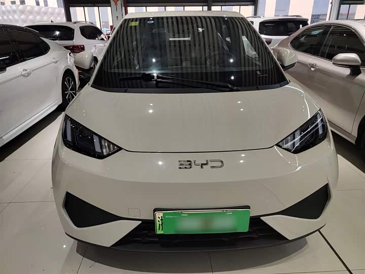 Фото 3 - BYD Seagull