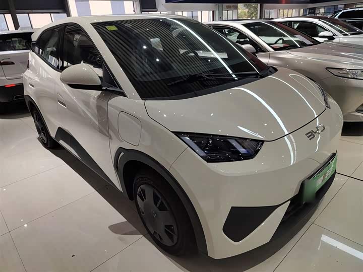 Фото 4 - BYD Seagull