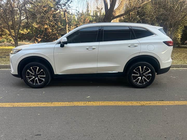 Фото 4 - Haval H6