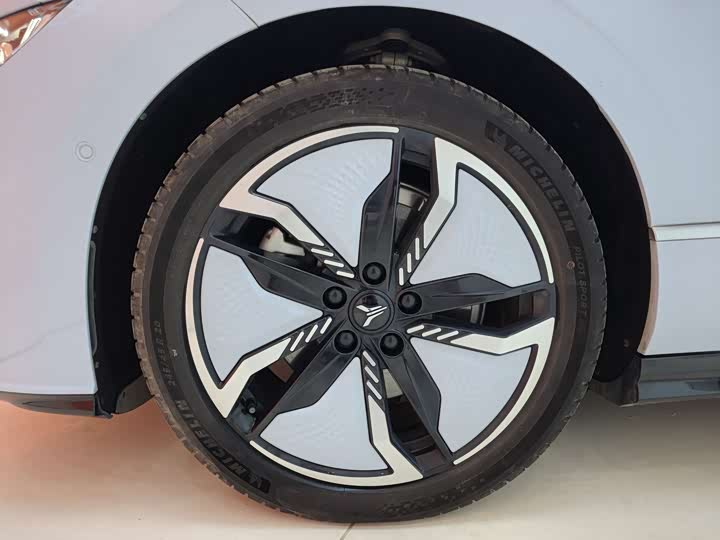 Фото 9 - Voyah Passion