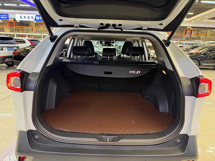 Фото 6 - Toyota Wildlander