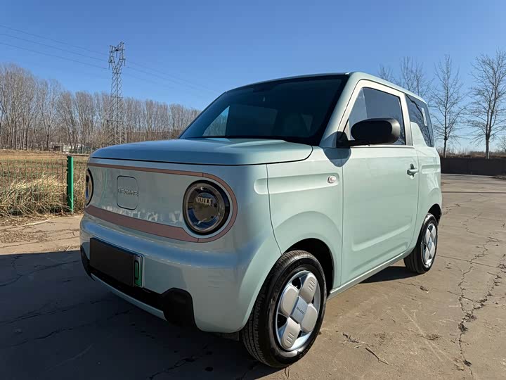 Фото 1 - Geely Galaxy Panda Mini