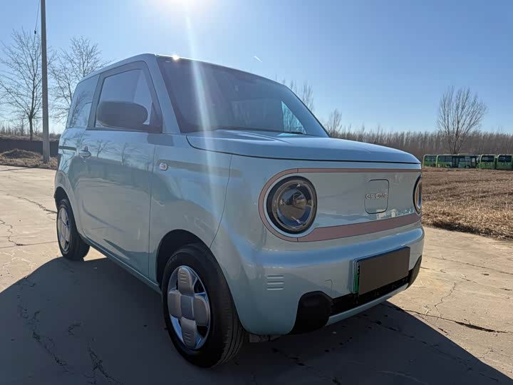 Фото 3 - Geely Galaxy Panda Mini