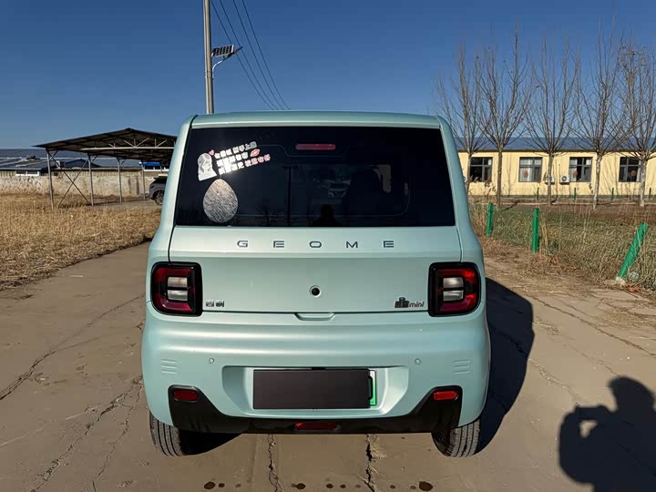 Фото 6 - Geely Galaxy Panda Mini