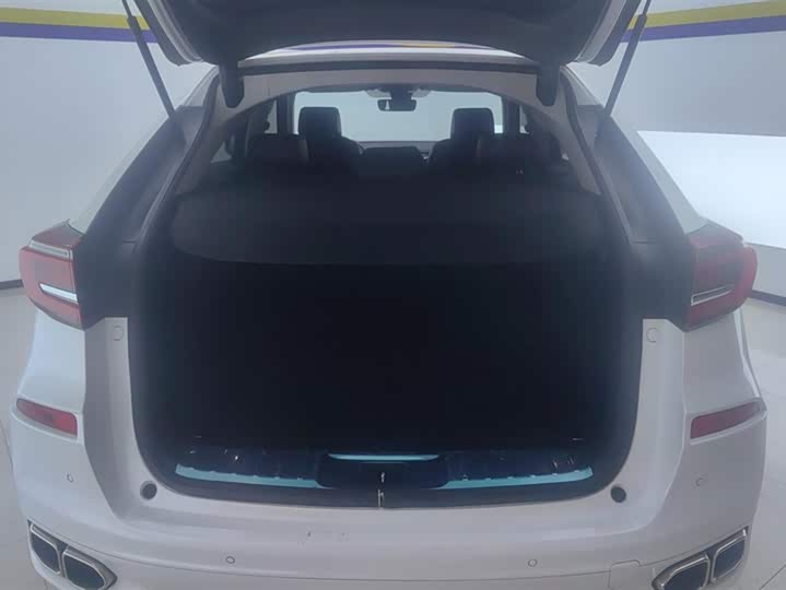 Фото 4 - Honda Avancier