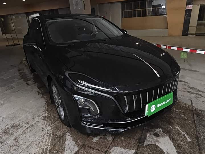 Фото 4 - Hongqi E-QM5