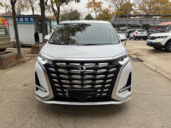 Фото 2 - Denza D9