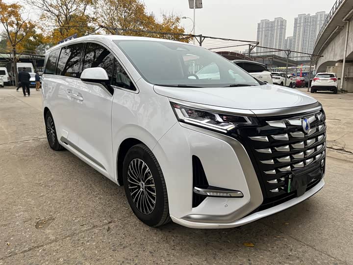 Фото 3 - Denza D9