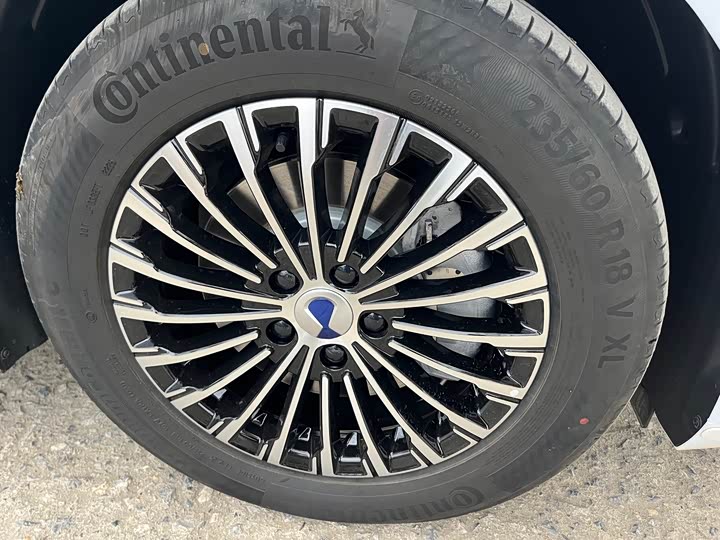 Фото 4 - Denza D9