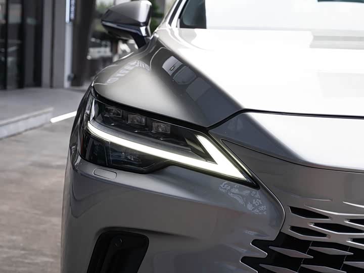 Фото 6 - Lexus RX Hybrid