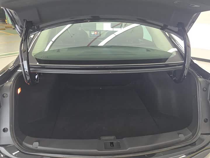 Фото 4 - Hongqi E-QM5