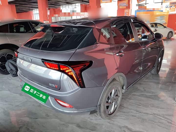 Фото 7 - Hozon V