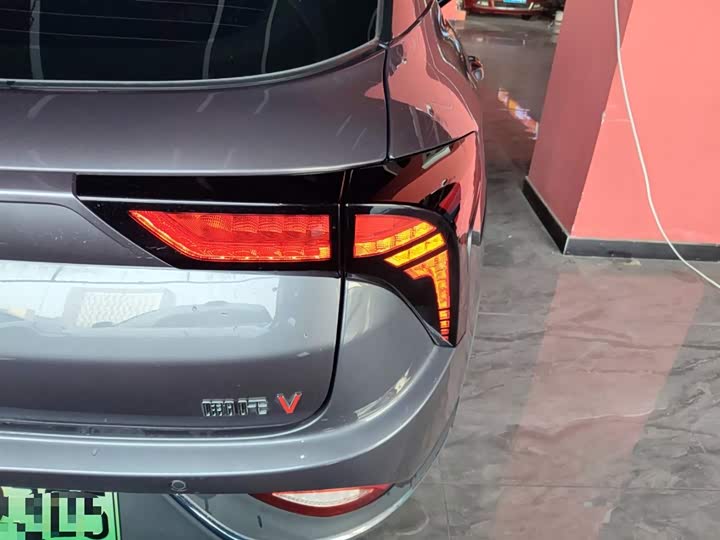 Фото 8 - Hozon V