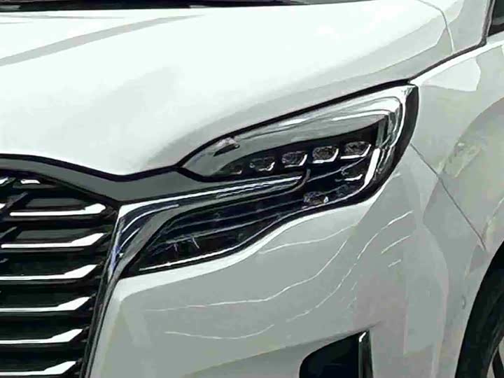 Фото 3 - Buick GL8 ES