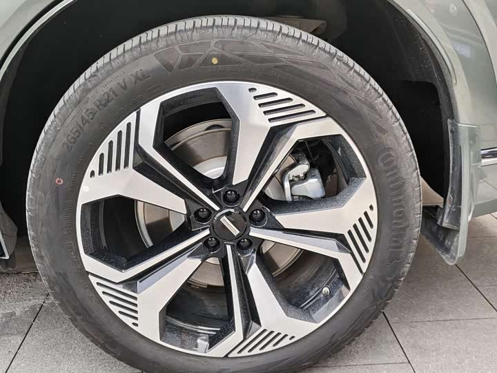 Фото 4 - Wey Lanshan