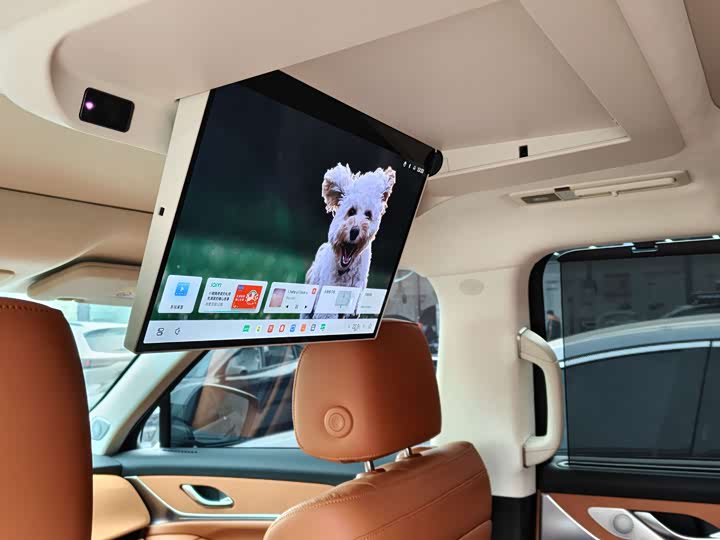 Фото 8 - Wey Lanshan