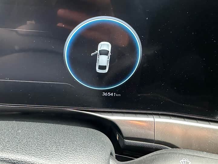 Фото 8 - Hyundai Lafesta