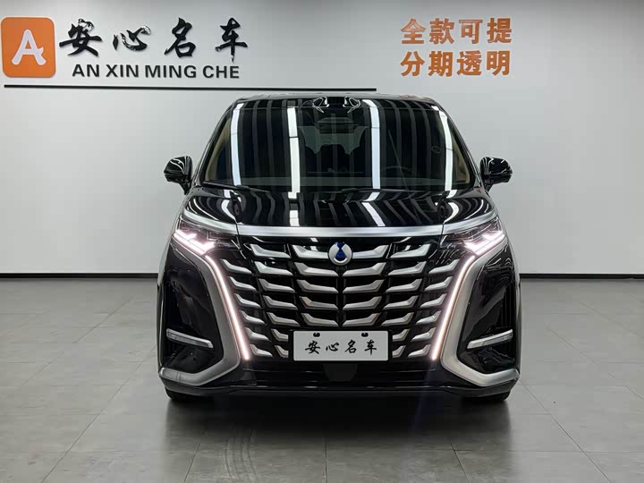 Фото 2 - Denza D9