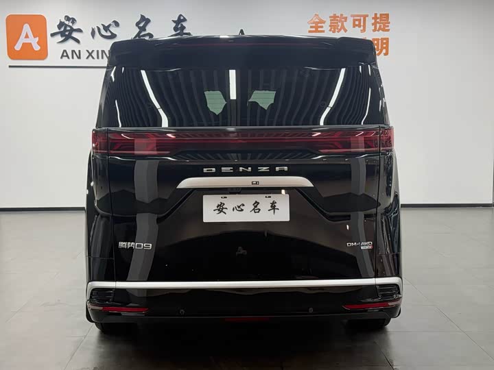 Фото 4 - Denza D9