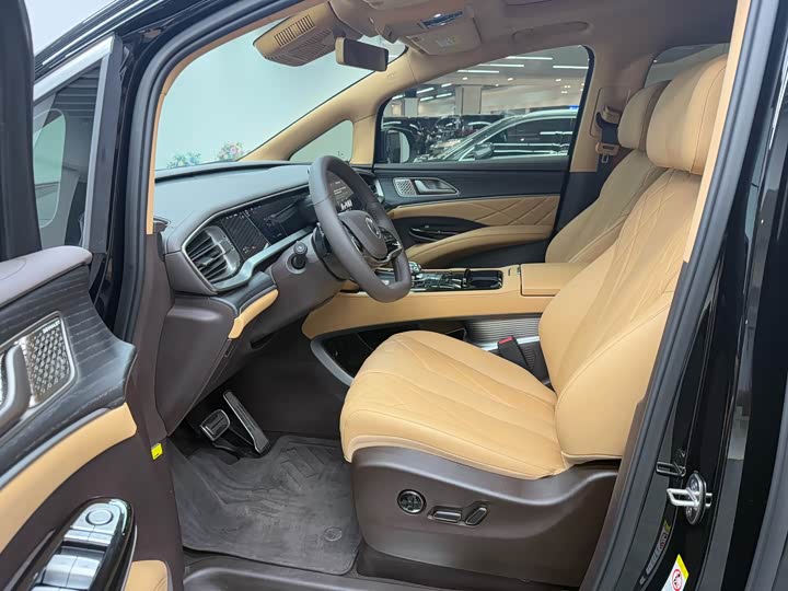 Фото 6 - Denza D9