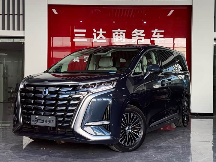 Фото 1 - Denza D9