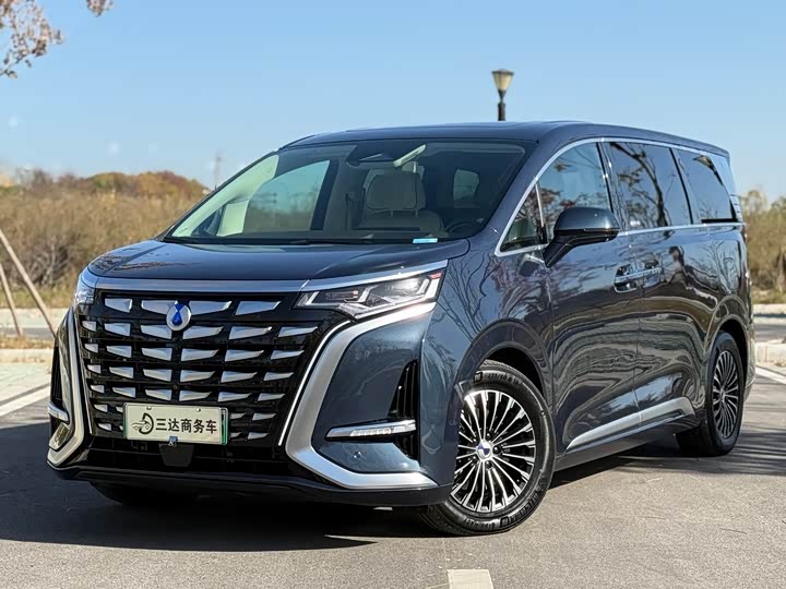 Фото 2 - Denza D9