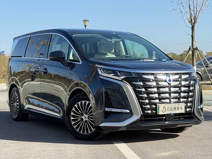 Фото 4 - Denza D9