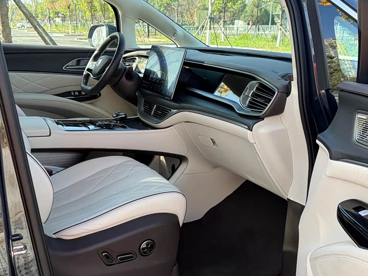 Фото 6 - Denza D9