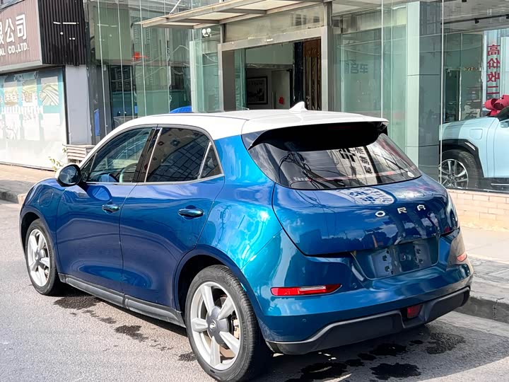 Фото 4 - Ora Good Cat (03)