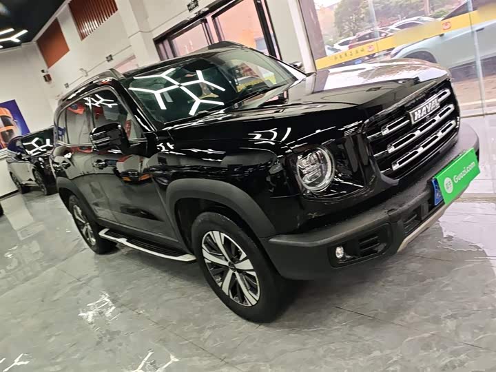 Фото 4 - Haval Dargo