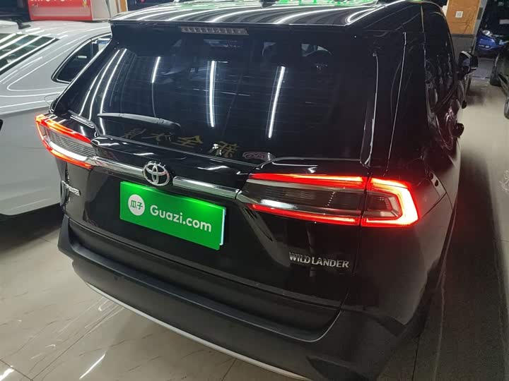 Фото 6 - Toyota Wildlander