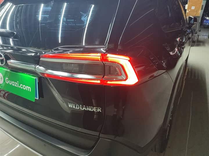 Фото 8 - Toyota Wildlander