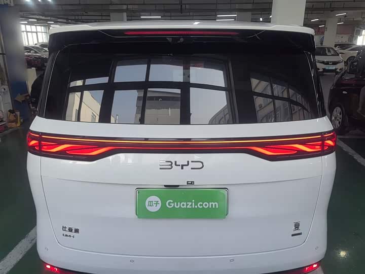 Фото 6 - BYD Xia