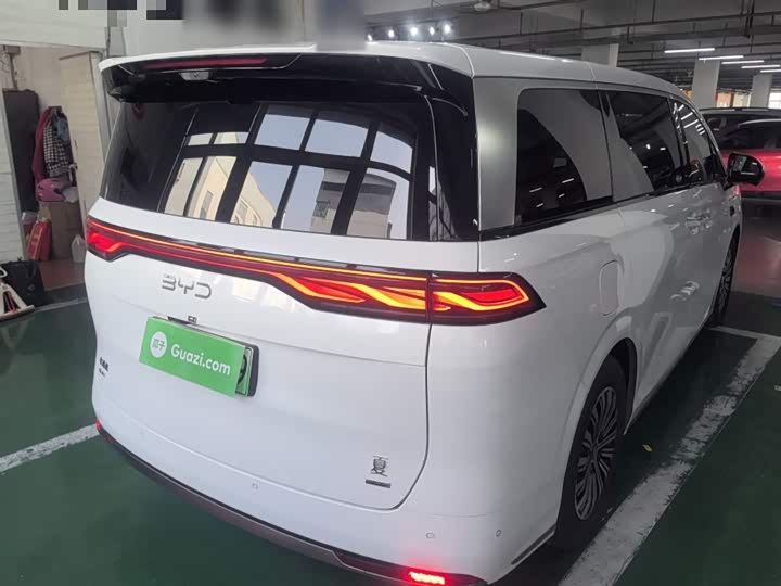 Фото 7 - BYD Xia