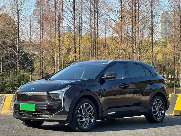 Фото 1 - Hozon U