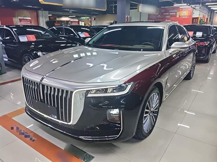 Фото 2 - Hongqi H9