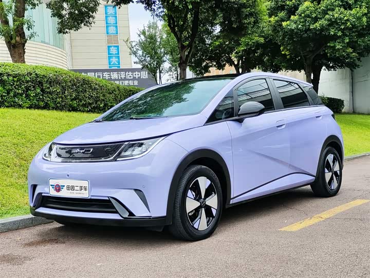 Фото 1 - BYD Dolphin