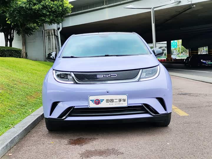 Фото 2 - BYD Dolphin